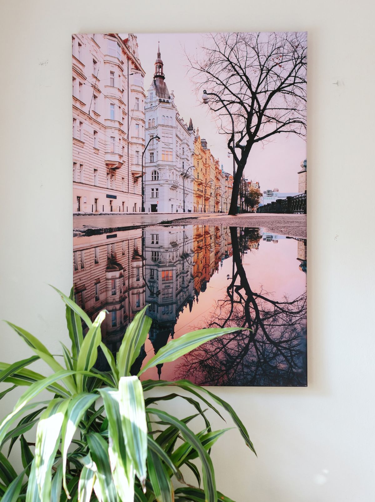 A canvas print of an old-town street at sunset, mirrored in a puddle, hanging above a leafy plant